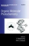 V. Ramamurthy, Ramamurthy V., Kirk S Schanze, Schanze Kirk S. - Organic Molecular Photochemistry