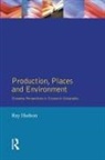 Ray Hudson - Production, Places and Environment