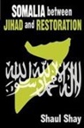 Shaul Shay, Shay Shaul - Somalia Between Jihad and Restoration