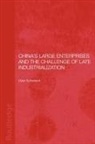 Dylan Sutherland, Sutherland Dylan - China's Large Enterprises and the Challe