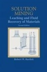 Robert Bartlett, Robert W Bartlett - Solution Mining