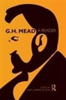 G H Mead, G. H. Mead, Filipe Carreira da Silva - A Reader