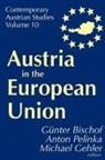 g pelinka Bischof, Anton Pelinka - Austria in the european