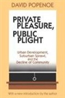 Hans Kummer, David Popenoe - Private Pleasure, Public Plight