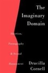 Drucilla Cornell, Ucilla Cornell - The Imaginary Domain