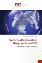 Amini Mudumbi Jacques - Système d'Information Géographique (SIG)