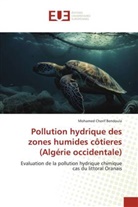 Mohamed Cherif Bendoula - Pollution hydrique des zones humides côtieres (Algérie occidentale)