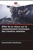 Ramachandra Phanikumar - Effet de la chaux sur le comportement technique des cendres volantes