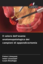 Leyla Bouhajja, Feten Limayem, Imen Loussaief - Il valore dell'esame anatomopatologico dei campioni di appendicectomia
