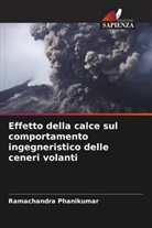 Ramachandra Phanikumar - Effetto della calce sul comportamento ingegneristico delle ceneri volanti