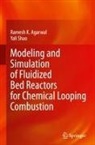 Ramesh K Agarwal, Ramesh K. Agarwal, Yali Shao - Modeling and Simulation of Fluidized Bed Reactors for Chemical Looping Combustion