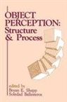 Soledad Ballesteros, Ballesteros Soledad, Bryan E Shepp, Shepp Bryan E. - Object Perception