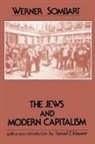 Werner Sombart - The Jews and Modern Capitalism