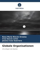 Cos, Jessica Coss Guerrero, Cruz García Lirios, Rosa María Rincón Ornelas - Globale Organisationen