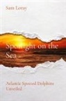 Sam Loray - Spotlight on the Sea