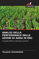 Théophile MUKANDAMA - ANALISI DELLA PERFORMANCE DELLE AZIONI DI ADRA IN DRC