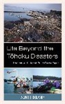 Alyne E Delaney, Alyne E. Delaney - Life Beyond the Tohoku Disasters
