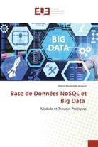 Amini Mudumbi Jacques - Base de Données NoSQL et Big Data