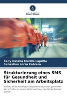 Seb Lorza Cabrera, Sebastian Lorza Cabrera, Kelly Natalia Murillo Laprilla - Strukturierung eines SMS für Gesundheit und Sicherheit am Arbeitsplatz