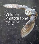 Ben Hall, Ben Hall, Ross Hoddinott, Hoddinott Ross - Wildlife Photography Workshop, The