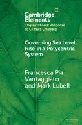 Mark Lubell,  Lubell Mark, Francesca Pia Vantaggiato, Francesca Pia (Kings College London) Vantaggiato - Governing Sea Level Rise in a Polycentric System - Easier Said Than Done