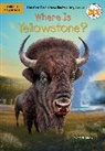 Sarah Fabiny, Stephen Marchesi, Who HQ - Where Is Yellowstone?