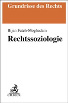 Bijan Fateh-Moghadam - Rechtssoziologie