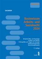 Remo Sacherer, Remo Sacherer - Basiswissen Arbeits- und Sozialrecht 2024