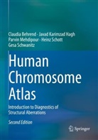 Claudia Behrend, Javad Karimzad Hagh, P Mehdipour, Parvin Mehdipour, Heinz Schott, Gesa Schwanitz - Human Chromosome Atlas