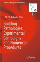 J. M. P. Q. Delgado, J M P Q Delgado - Building Pathologies: Experimental Campaigns and Numerical Procedures