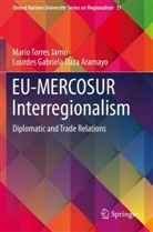 Lourdes Gabriel Daza Aramayo, Lourdes Gabriela Daza Aramayo, Mario Torres Jarrín - EU-MERCOSUR Interregionalism
