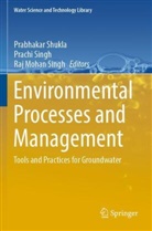 Raj Mohan Singh, Prabhakar Shukla, Prachi Singh, Raj Mohan Singh - Environmental Processes and Management
