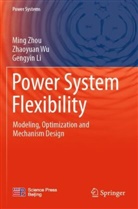 Gengyin Li, Zhaoyuan Wu, Ming Zhou - Power System Flexibility