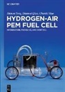 Chunlei Huo, Dianwei Qian, Shiwen Tong - Hydrogen-Air PEM Fuel Cell