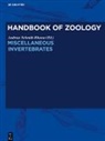 Max Beier, Maximilian Fischer, Johann-Gerhard Helmcke, Willy Kükenthal, Andreas Schmidt-Rhaesa, Dietrich Starck... - Handbook of Zoology: Miscellaneous Invertebrates