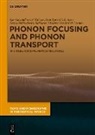 Sergey Mikhailovich Bakharev, Igor Gaynitdinovich Kuleyev, Ivan Igorevi Kuleyev, Ivan Igorevich Kuleyev, Vladimir Vasilyevich Ustinov, Sergey Mikhailovich Bakharev... - Phonon Focusing and Phonon Transport