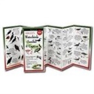David Sibley - Sibley's Waterbirds of Sanibel & Captiva