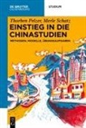 Thorben Pelzer, Merle Schatz - Einstieg in die Chinastudien