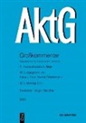 Holger Fleischer, Klaus J. Hopt - Aktiengesetz - Lieferung 42: § 311