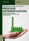 Jan Harmsen, Maarten Verkerk - Process Intensification