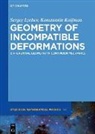 Konstantin Koifman, Sergey Lychev - Geometry of Incompatible Deformations
