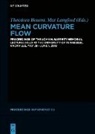 Theodora Bourni, Langford, Mat Langford - Mean Curvature Flow