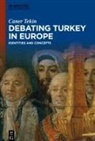 Caner Tekin - Debating Turkey in Europe