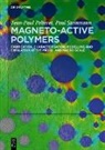 Jean-Paul Pelteret, Paul Steinmann, Jean-Paul Pelteret, Steinmann - Magneto-Active Polymers