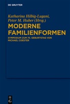 Katharina Hilbig-Lugani, Peter M. Huber - Moderne Familienformen