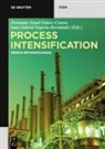 Gabriel Segovia-Hern, Fernando Israel Gómez-Castro, Fernando Israel Gómez-Castro, Juan Gabriel Segovia-Hernández - Process Intensification