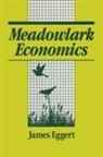 Jim Eggert, Eggert Jim - Meadowlark Economies
