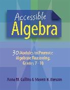 Steven Benson, Anne Collins, Anne M./ Benson Collins - Accessible Algebra
