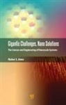Maher S Amer - Gigantic Challenges, Nano Solutions