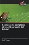 Amit Yadav - Gestione del complesso di insetti parassiti del Brinjal